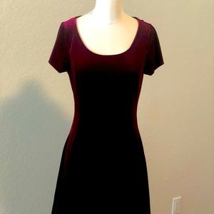 Small Velvet Skater Dress